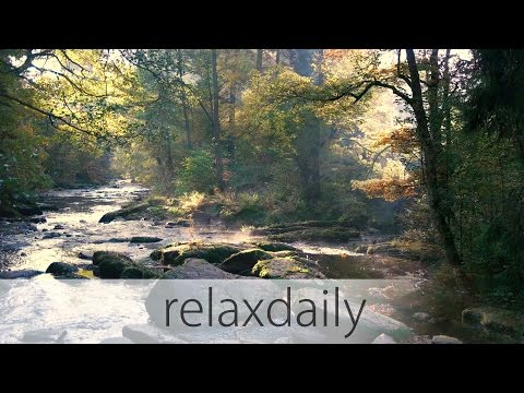Calm and Slow Music with Fall Nature Footage - N°010 (4K)