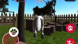 Why Direwolves were Evicted From their Habitats