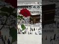 Jo Taal Deta Hai Mushkilo Ko Islamicvideo Shorts Naat Shortsfeed