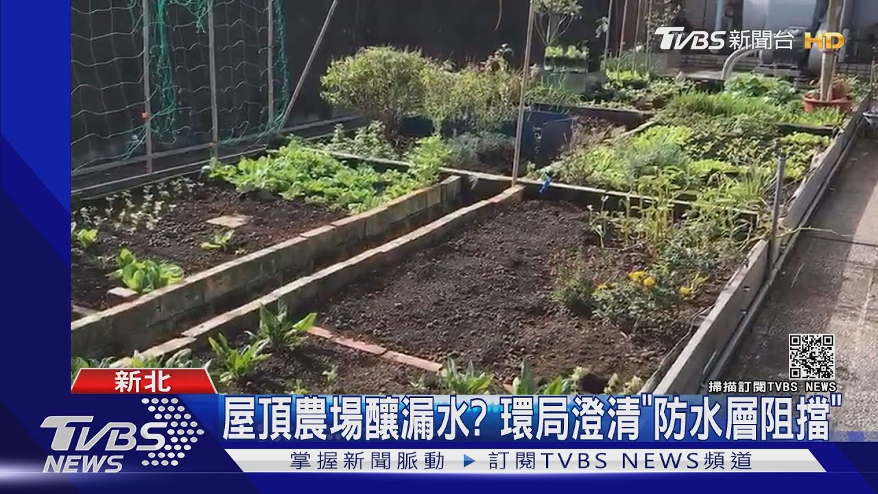 屋頂建農場!住戶控「家裡下小雨」 釀損壞