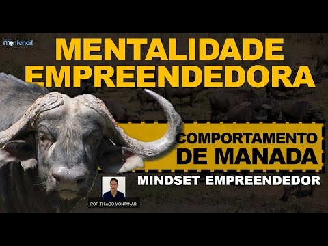 Mentalidade Empreendedora | Mindset Empreendedor | Comportamento de Manada Video