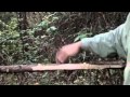Survival Traps- Deer Spring Snare