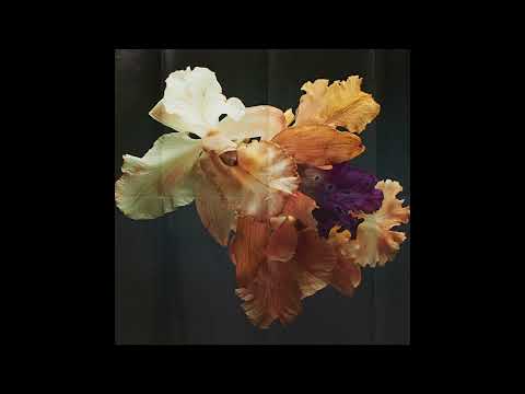 [FREE] JOSMAN X JEWEL USAIN TYPE BEAT "BELAMCANDA" [PROD .ROR]