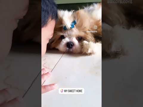 #buddy#daivik❤️ #masti #time