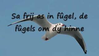Die twa - Fûgels