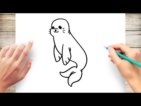 How to Draw Cute Sea Lion Easy