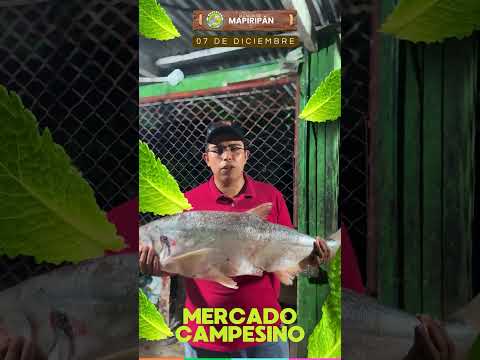 🌾🎉 ¡Anímate a participar en los concursos de nuestro Mercado Campesino! 🐓🌽