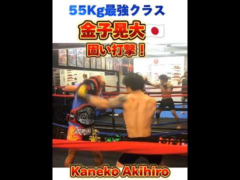 【K-1 55Kg最強】金子晃大🇯🇵 固く重い1発! Kaneko Akihiro