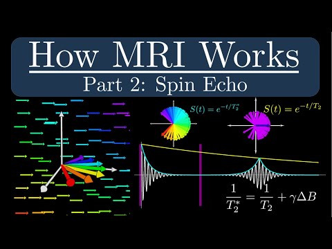 How MRI Works - Part 2 - The Spin Echo