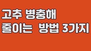 고추 병충해 줄이는 방법 3가지 ㅣ고추 모종 심는방법 ㅣ 고추 재배 방법 ㅣ고추심는시기 ㅣ  탄저병 ㅣ