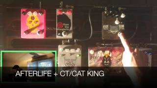 LOW GAIN application of some FUZZROCIOUS pedals