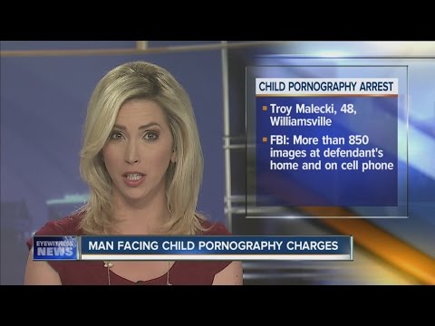 Williamsville man facing child porn charges