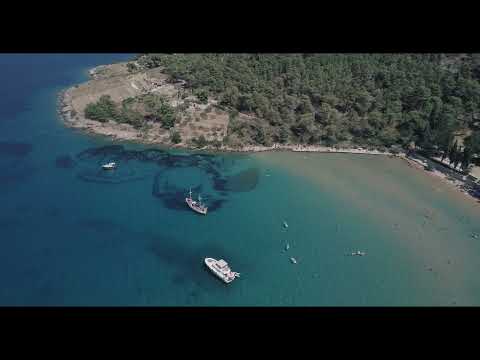 Jeanneau Prestige 46 Fly | Commodore Yachting