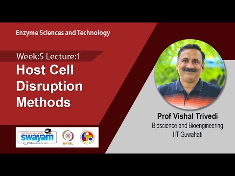 Enzyme Sciences and Technology Intro Video