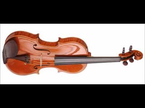 Krzysztof Krupa - Finalist - 13th Wieniawski Violin Making Comp. | binaural recording | concert hall
