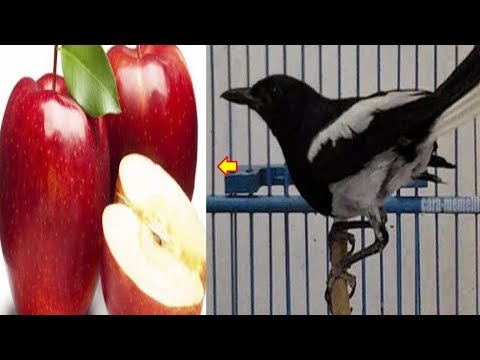 Cerita dari orang-orang yang kehilangan berat badan sebelum dan sesudah foto Diet untuk menurunkan 3 kg