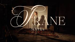 Träne Lyrics English Translation