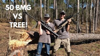 How Many 50 Cal Bullets Does it Take to CUT DOWN A TREE!?!?