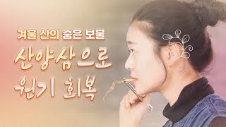 [숲속 & 식탁] 열두 번째 식탁 Ep.12 사포닌 덩어리 산양삼으로 면역력 UP!