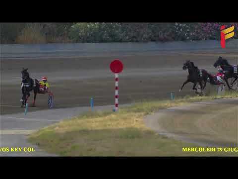 V Corsa del 29 giugno 2022 - 3 Anni - Metri 1600