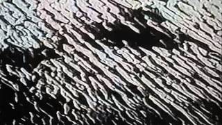 The History Of Apple Pie - Tame (Official Video)