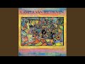 Love the Witch (Camper Van Beethoven Version)