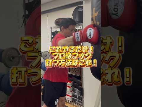 【プロ級】フックの練習法はこの4ステップ！#鈴木悟 #ボクシング