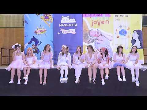 🌳Doki♥Para🌈 (ド木♥パラ) / Poppin' Shakin'【LIVE in Mangafest】