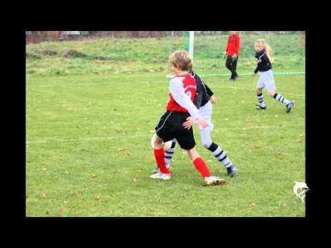 Budissa Bautzen E2 - SV Liegau-Augustusbad