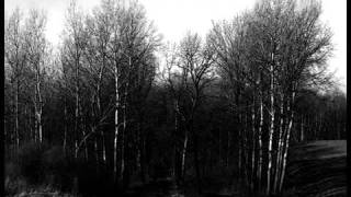 Nordvargr - Hascimh Reborn