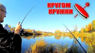Где поймать щуку и окуня в марий эл