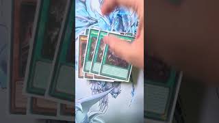 Deck Profile BEWD Primite en 60s #yugioh #yugiohcommunity #yugiohcards #ygogxtg
