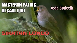 Download lagu Masteran paling di sukai juri SIKATAN LONDO suara jernih jeda 30detik,cocok buat burung lomba mp3 Download lagu Masteran paling di sukai juri SIKATAN LONDO suara jernih jeda 30detik,cocok buat burung lomba mp3