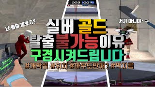 골드/실버 에서 일어나는 모든일 다 구경 시켜드립니다 ㅋㅋㅋ
