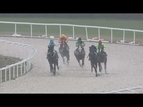 2022.11.27. 01. futam - KINCSEM HUNGARY HENDIKEP (II.o.) (szintetikus pálya)