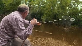 BIG RIVER Fishing - Bent Rods, Bees - It's Barmy!