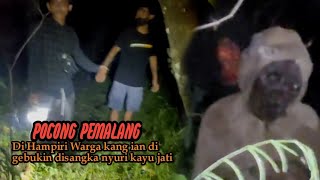 Download lagu Di Undang Untuk Usir Pocong, Kang ian digebukin warga disangka maling kayu jati - Pemalang Jateng. mp3