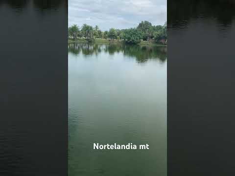 Lago na cidade de Nortelandia  Mt  #lago #pescaria #matogrosso #nortelandia