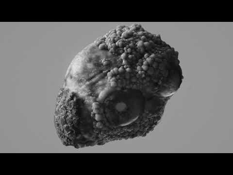 MIRA 2019 ¤ SON Estrella Galicia ► First Artist Announcement