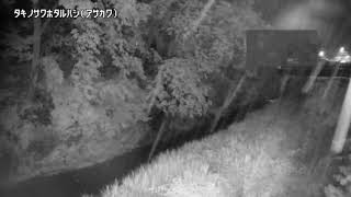 滝乃澤螢橋映像監視局