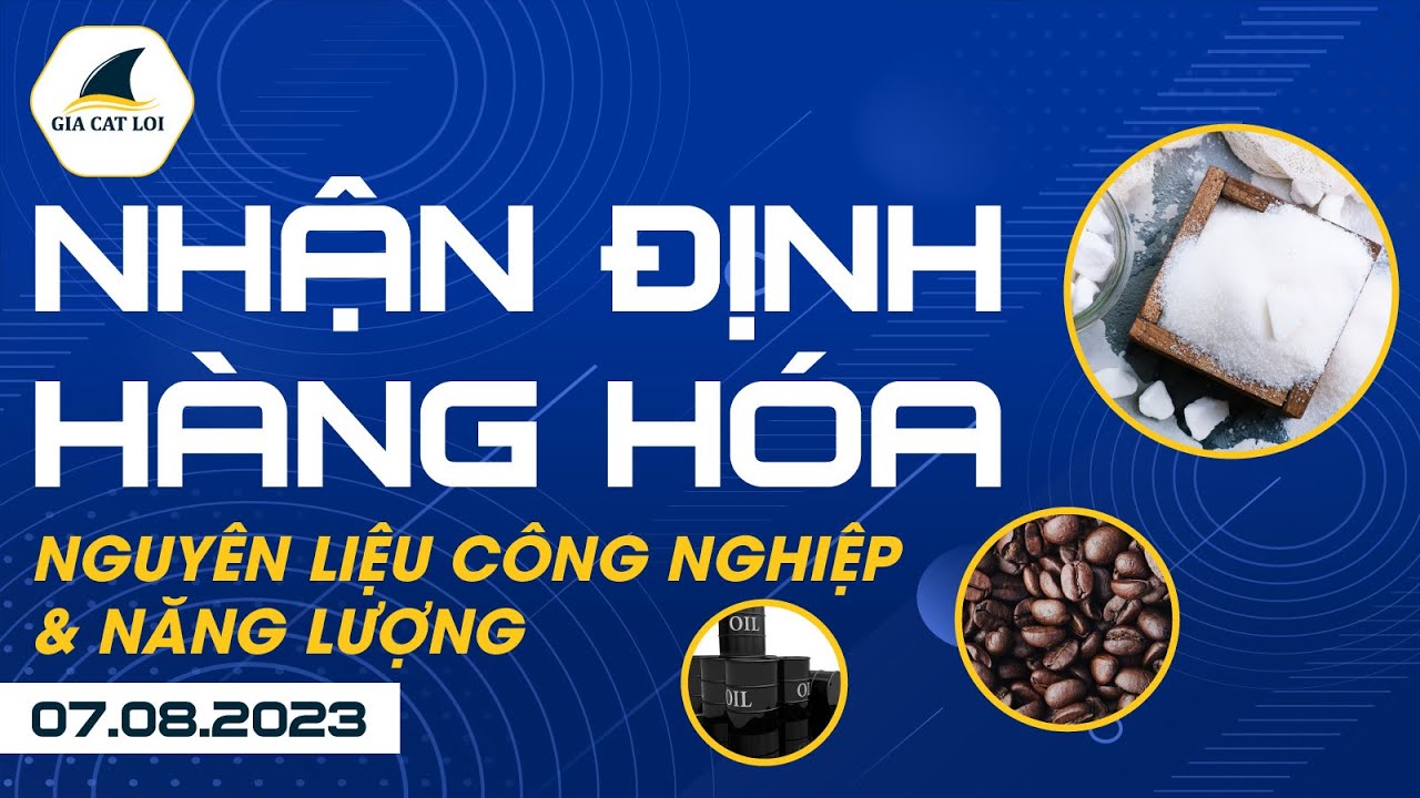 Nhận Định Hàng Hoá Năng Lượng & Nguyên Liệu Công Nghiệp 07/08/2023