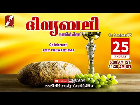 HOLY MASS|LATIN MASS| 25 JAN 2026 |REV FR JOSHI IMS |MALAYALAM QURBANA|TODAY MASS|GOODNESS TV