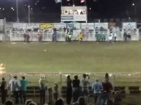 Wild Horse Race NE Montana Fair & Rodeo