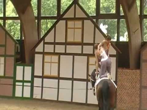 Ingelsberg Kür CVI Krumke 2012