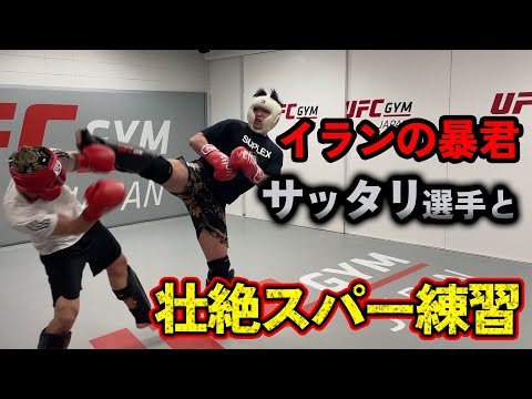K-1無差別級トーナメント覇者との壮絶スパーリング 【マハムード・サッタリ】