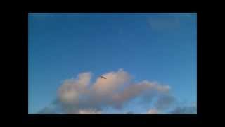 "Steep Hills of Vicodin Tears" - A Winged Victory for the Sullen