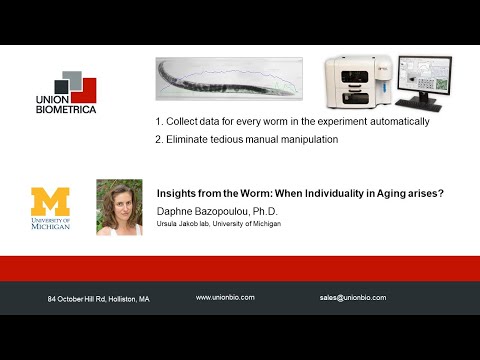 Sorting C.elegans worms. Insights from the Worm: When Individuality in Aging arises?