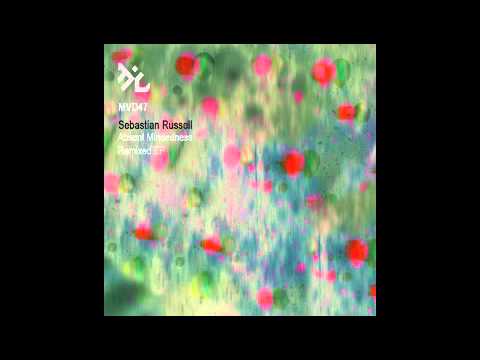 Sebastian Russell - Absent Mindedness (David Durango's Sensor Remix)