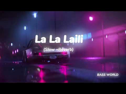 La La Laili (Slow + Reverb) || New Tiktok Viral song Slow & Reverb || La la laili Famous song 2024