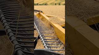 BAZUCANDO a CR 9060 😮🚀